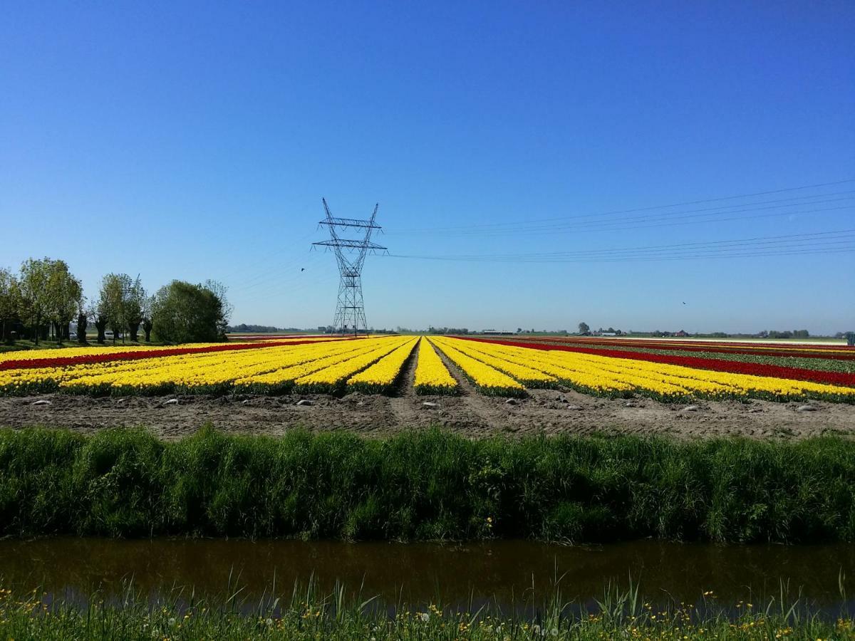 Tinyhouse Natuurhuisje Met Veranda Bij De Molen Tussen Alkmaar En Hoorn Oterleek Kültér fotó